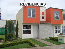 Preveen plagas en tu recidencia
