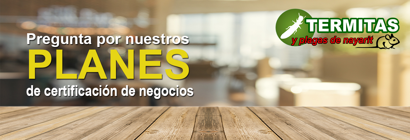 Certificado de negocios contra plagas