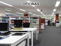 Preveen plagas en oficinas y centros de trabajo